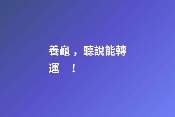 養龜，聽說能轉運！